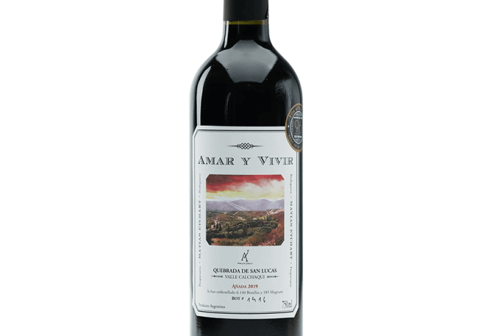 Amar y Vivir Malbec