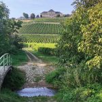 Wein Gourmet-Reise in den Rheingau vom 26.06. – 29.06.2025