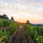 Wein Gourmet-Reise in die Pfalz vom 30.10. – 02.11.2025