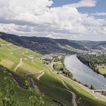 Wein Gourmet-Reise an die Mosel vom 18.06. – 21.06.2026