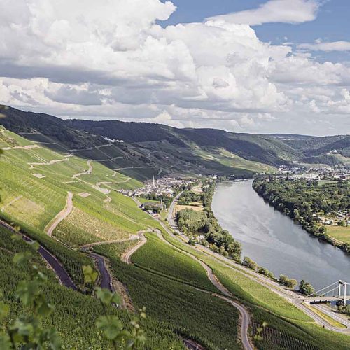 Wein Gourmet-Reise an die Mosel vom 18.06. – 21.06.2026
