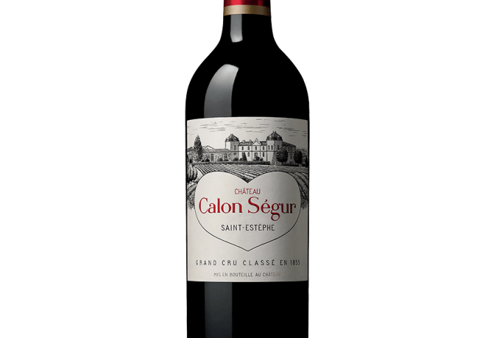 Calon Segur 2008